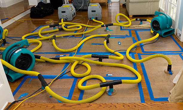 Professional Burst Pipe Water Damage technician working in Edgewater, FL